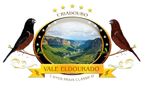 Vale Eldorado - Criadouro Curió Clássico Rio de Janeiro